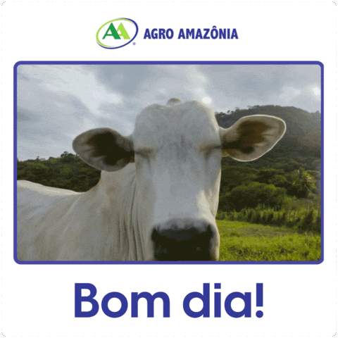 Bom Dia Boi GIF by Agro Amazônia