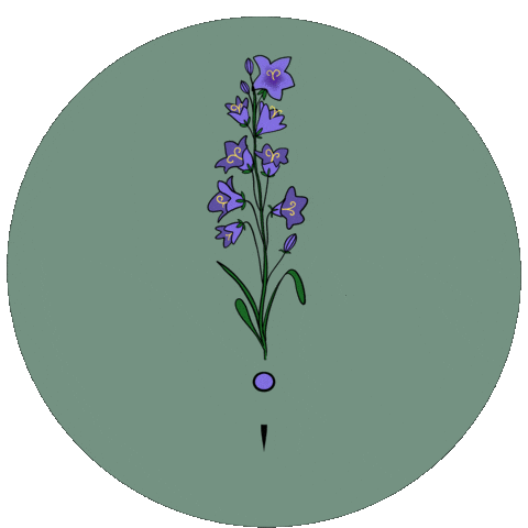Kytka Vole Sticker