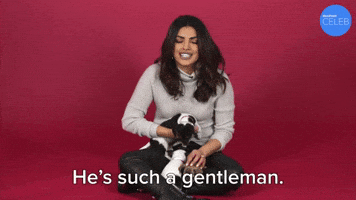 He's Such A Gentleman