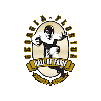 Football Florida Sticker by COJ Special Events