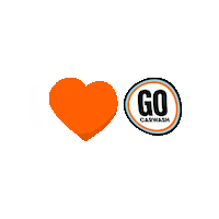 GOCarwash car wash go car wash Sticker