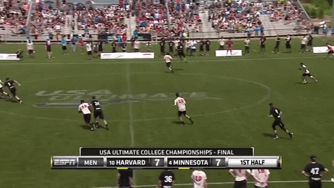flikulti ultimate frisbee flik GIF