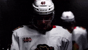 Nhl Blackhawks GIF
