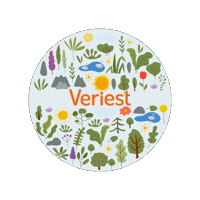 Team Event Sticker by Veriest Solutions