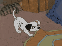 Walt Disney Animation Studios Puppy GIF by Disney