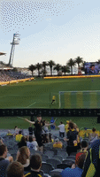 Man on Crutches Takes to Field During Soccer Match in Australia, Crowd Cheers Him