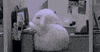 lmao awwww GIF
