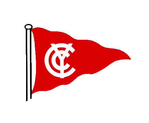Cyc Sticker by gripyouth