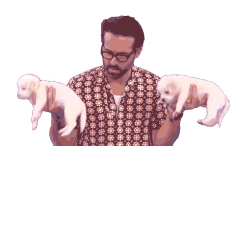 wagmorpets giphyupload dog puppy dogs Sticker