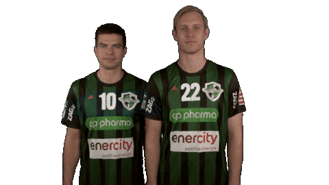 Handball-Bundesliga Sport Sticker by LIQUI MOLY HBL