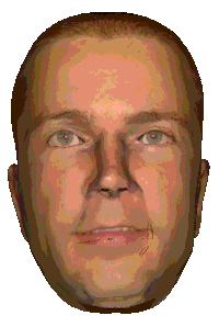 3D Face Sticker by badblueprints