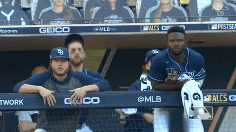 Excited Major League Baseball GIF by MLB
