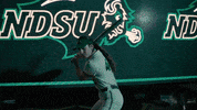 Ndsu Softball GIF by NDSU Athletics