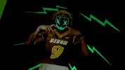 Bison Hart GIF by NDSU Athletics