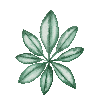 gustavson_illustration color watercolor husband sketching Sticker