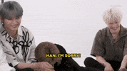 K-Pop Stray Kids GIF by BuzzFeed