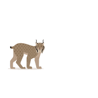 Hiking Pd Sticker by Konzum