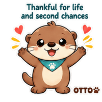 New Beginnings Love Sticker by Otto the Otter by GleeSpace