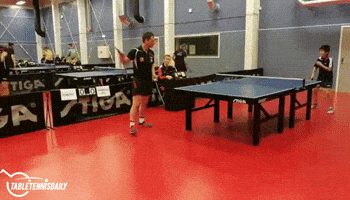 ping pong GIF