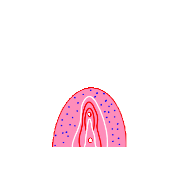 Canestenau giphygifmaker vagina canestenudou Sticker