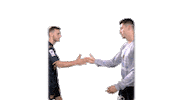 Handball Dunkerque Sticker by USDK