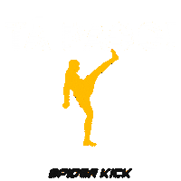 Anderson Silva Sk Sticker by Spider Kick