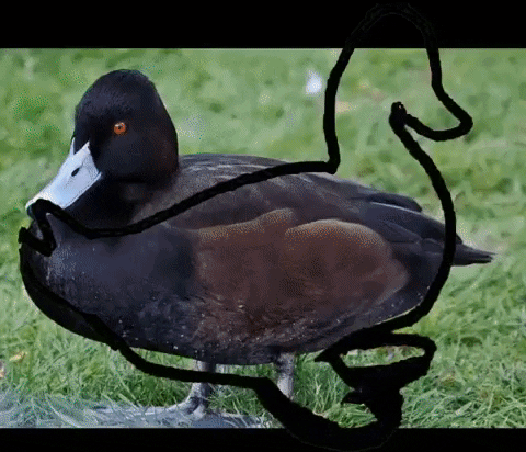 GifsUniverse giphyupload gifvif gifsuniverse GIF