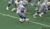 Detroit Lions Football GIF