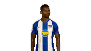 Hertha Bsc Yes Sticker by Bundesliga