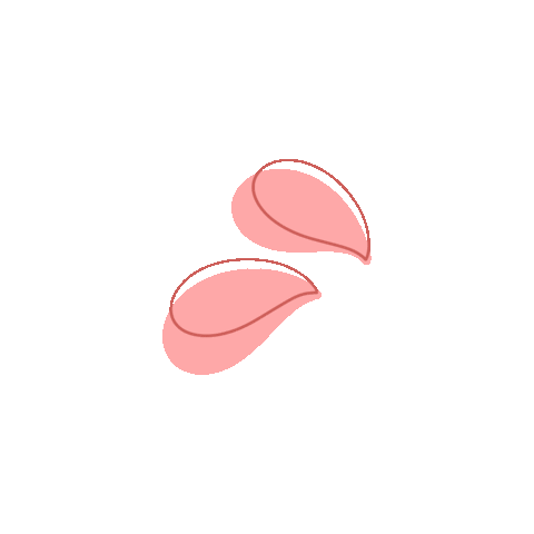 Pink Boho Sticker