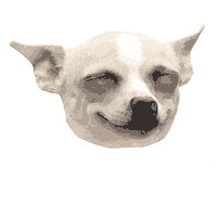 GravATX satisfied heck yeah aw yeah grav Sticker