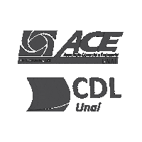 acecdlunai  Sticker