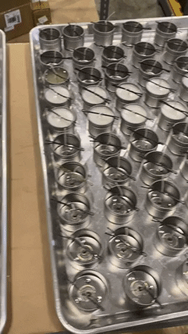 laurenmortonn giphygifmaker GIF