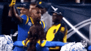 2018 Nfl Football GIF by NFL