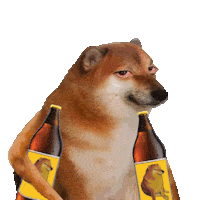 Beer Dogs Sticker by Revicheems