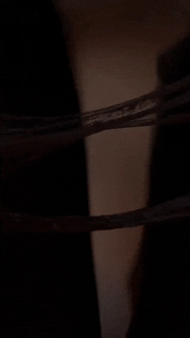 Thelastofus2 Abbyanderson GIF by Youtooz