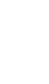 Illustration Star Sticker