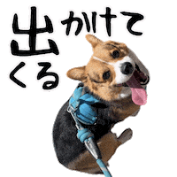 Corgi Milo Sticker