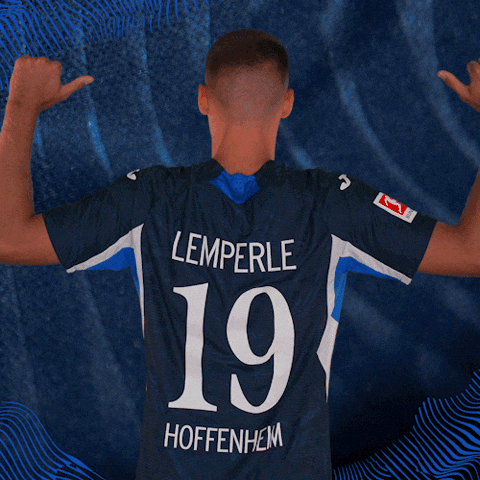 Sport Bundesliga GIF by TSG Hoffenheim