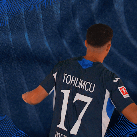 Sport Bundesliga GIF by TSG Hoffenheim
