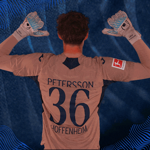 Sport Bundesliga GIF by TSG Hoffenheim
