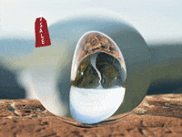 You Can Wow GIF by FranchiseONE.de