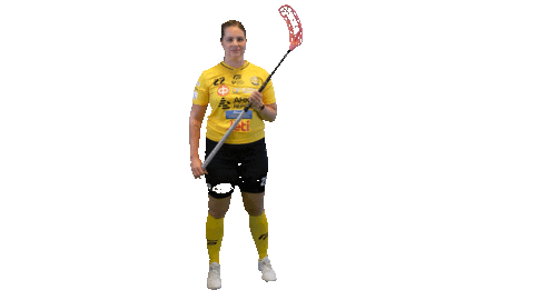 Floorball Salibandy Sticker by F-liiga