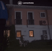 Twitch Elraenn GIF