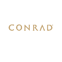 ConradPuntadeMita hilton conrad vallarta rivieranayarit Sticker