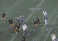 Pittsburgh Steelers Football GIF by NFL