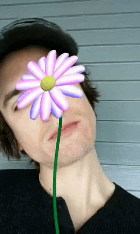 newcolorstudio giphygifmaker filter spark ar ar filter GIF