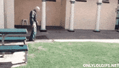 grandpa GIF