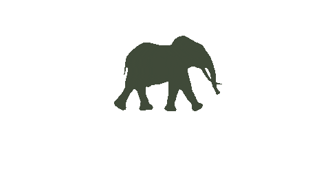 Wildtomorrowfund giphyupload animals wtf jewelry Sticker