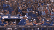 Home Run Celebration GIF by Toronto Blue Jays